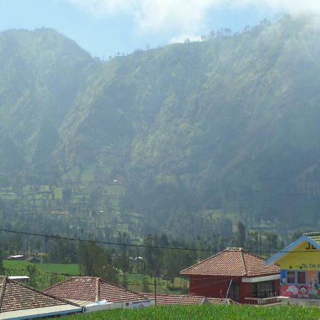 Tengger Indah Homestay Bromo Exteriör bild