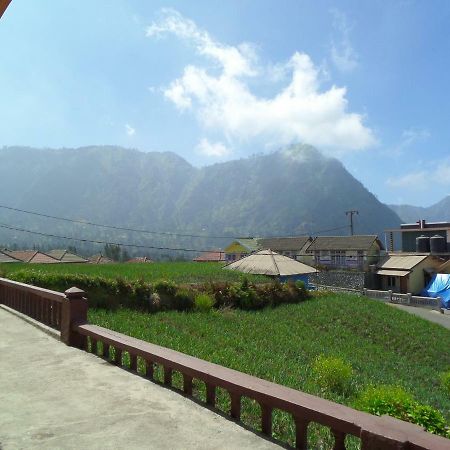 Tengger Indah Homestay Bromo Exteriör bild