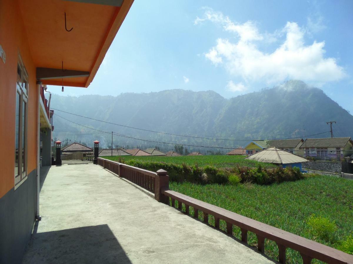 Tengger Indah Homestay Bromo Exteriör bild