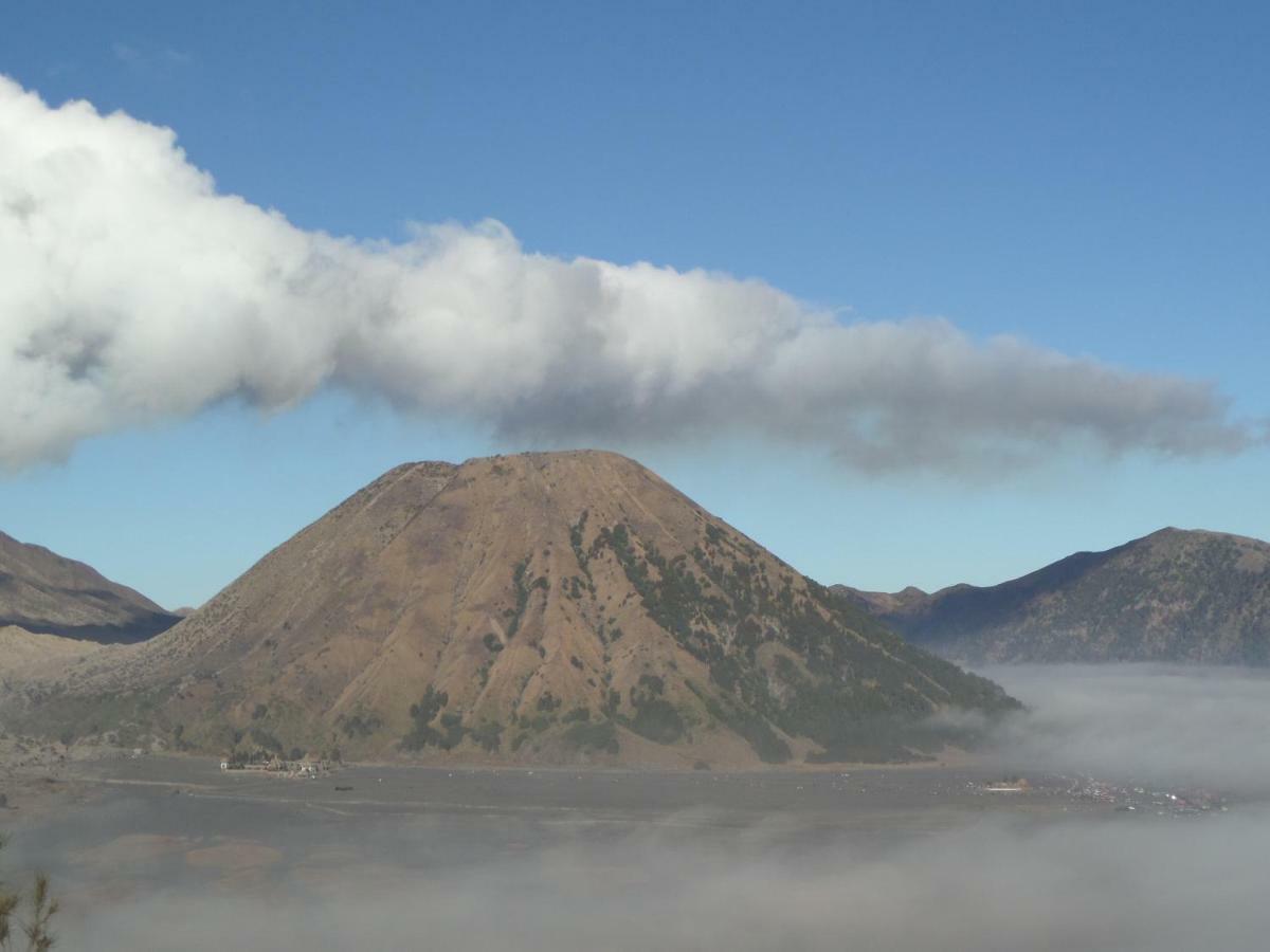 Tengger Indah Homestay Bromo Exteriör bild