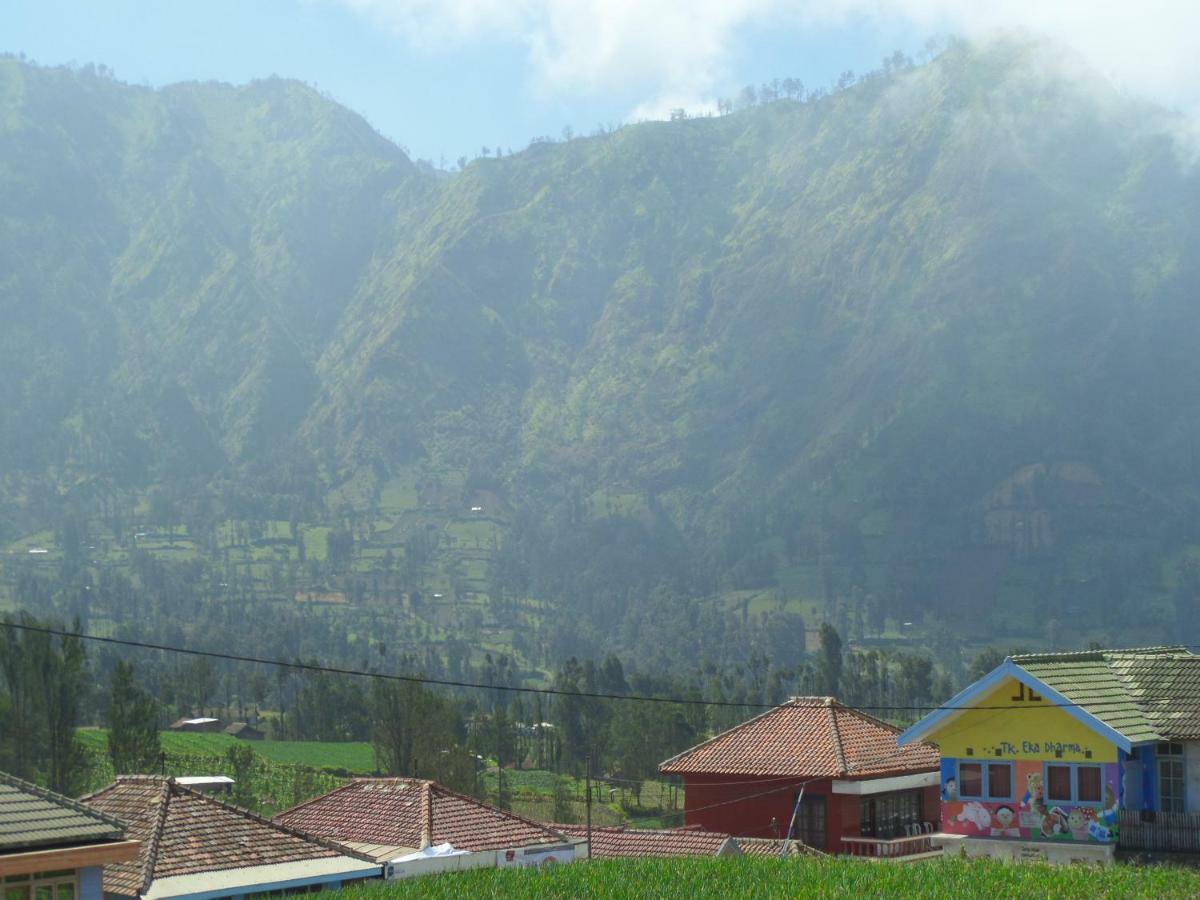 Tengger Indah Homestay Bromo Exteriör bild