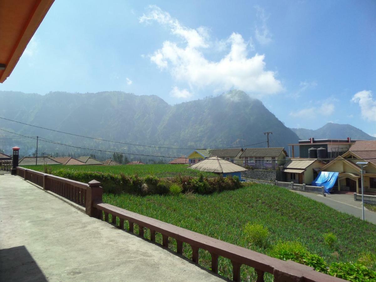 Tengger Indah Homestay Bromo Exteriör bild